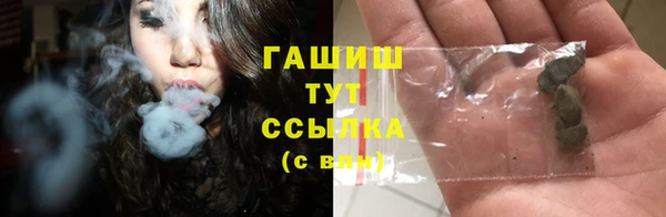 прущие грибы Каменка