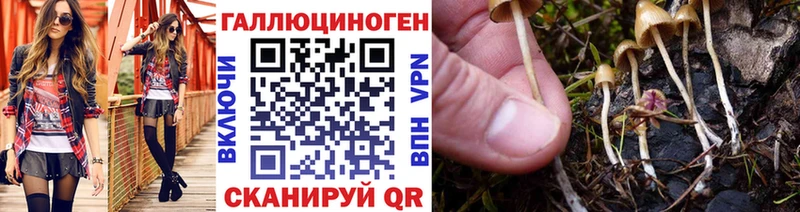 Псилоцибиновые грибы Magic Shrooms  Рязань 