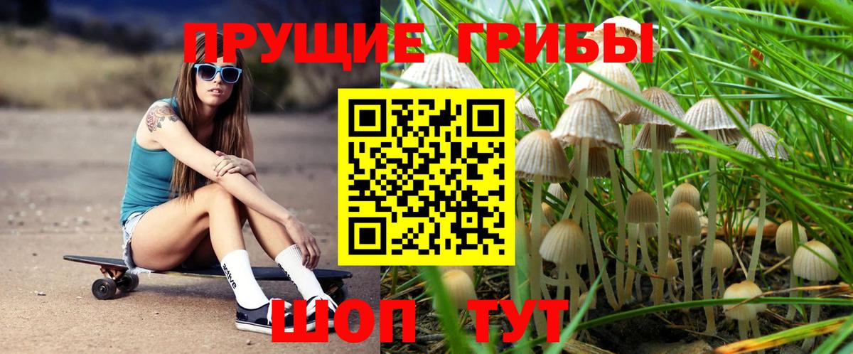 Рязань  Псилоцибиновые грибы MAGIC MUSHROOMS  Вход с VPN 