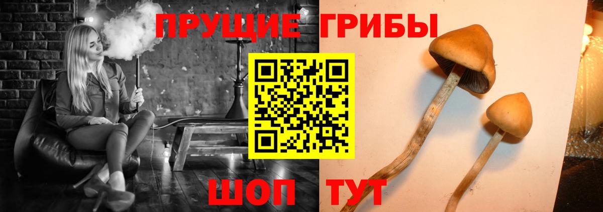 Галлюциногенные грибы MAGIC MUSHROOMS Рязань